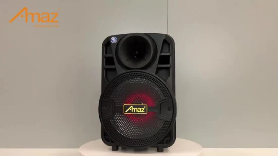 Amaz Portable Speakers 8-Zoll-Mini-Partylautsprecher mit Mikrofon